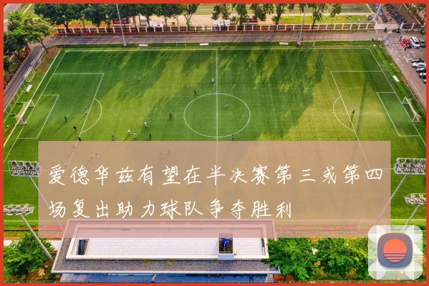 爱德华兹有望在半决赛第三或第四场复出助力球队争夺胜利