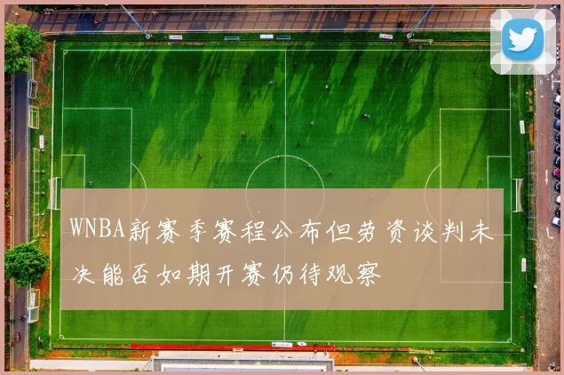 WNBA新赛季赛程公布但劳资谈判未决能否如期开赛仍待观察