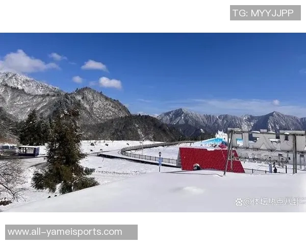 德国后卫赫特纳乘缆车意外坠落去世年仅34岁令人惋惜